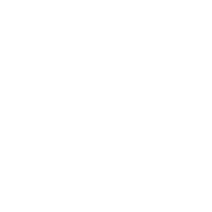 Consumer Technology Association Member logo
