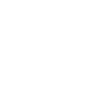 Real Time Conference, Real Time Society logo
